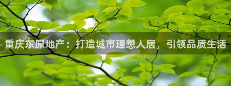 万向娱乐总代