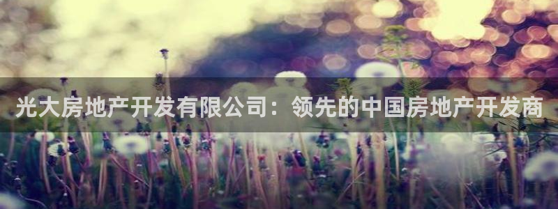 万向娱乐是野鸡台吗