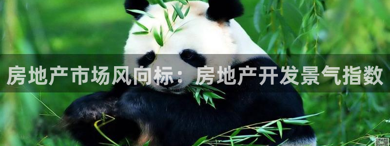 万向娱乐平台代理多少钱