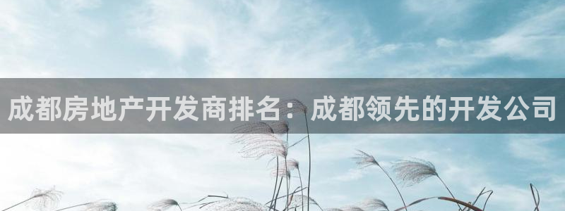 万向娱乐的494o3 主管