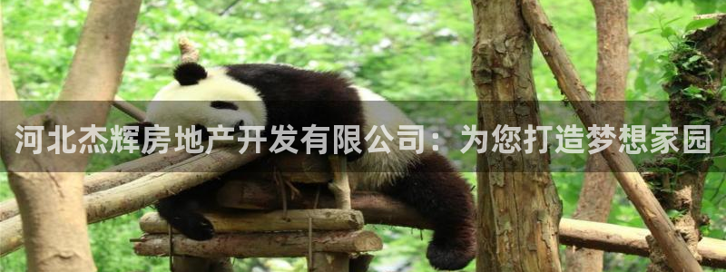 万向娱乐挂机软件