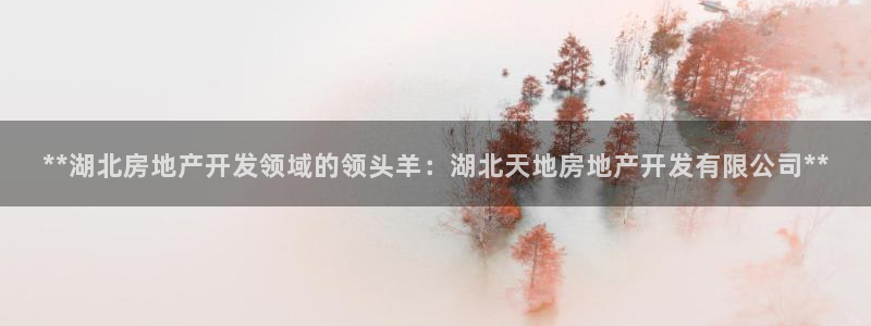 万向娱乐平台代理多少钱一个月