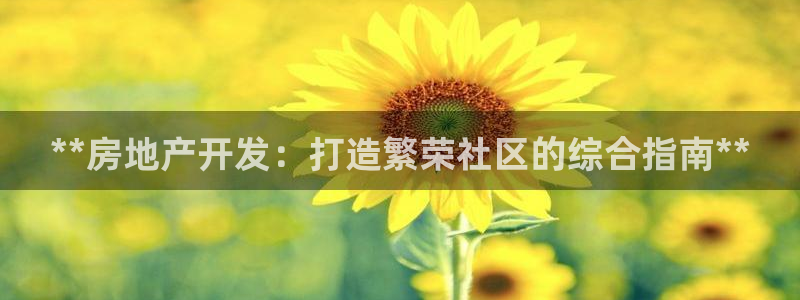 万向娱乐老板