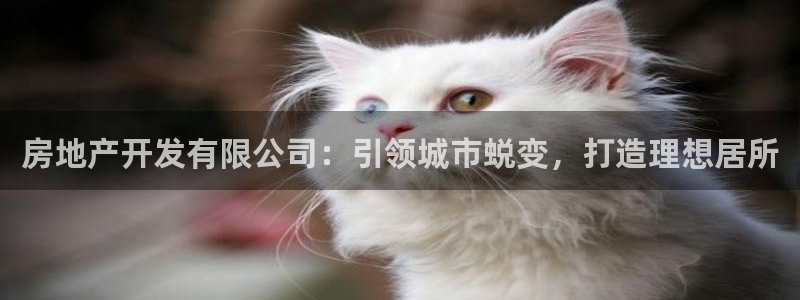 万向娱乐平台代理怎么做赚钱