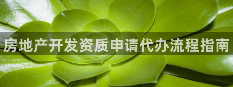 万向娱乐官网下载安装最新版