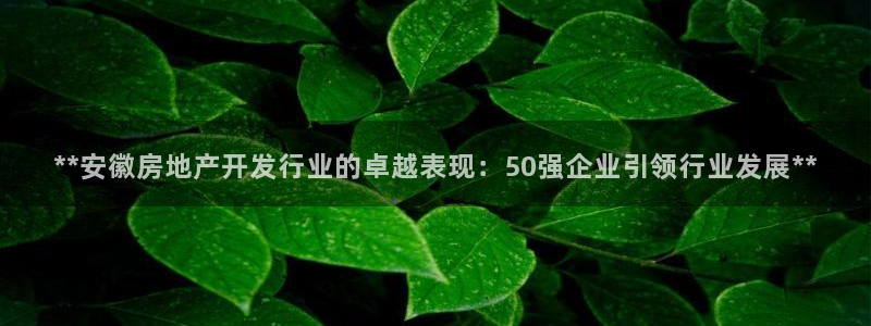 万向娱乐老板