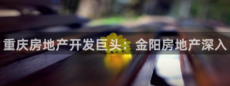 万向娱乐官网下载