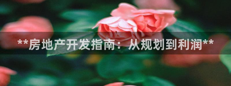 万向娱乐挂机