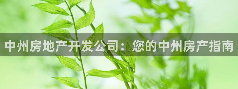 万能娱乐平台直招代理