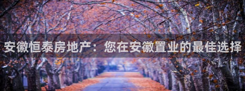 万向娱乐招商