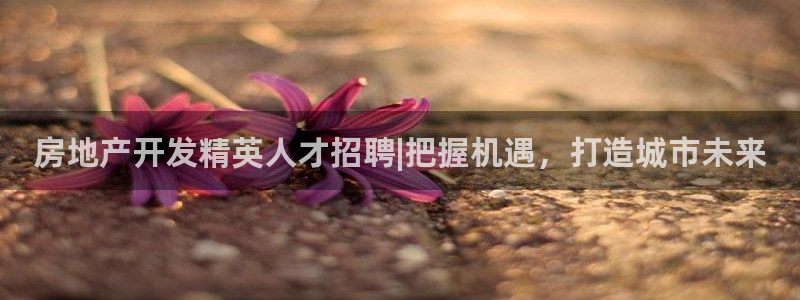 万向娱乐下载安装