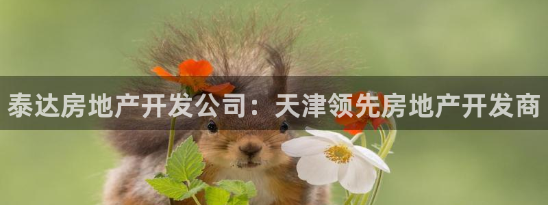 万向娱乐是哪个旗下