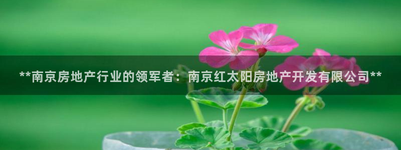 万向娱乐挂机软件