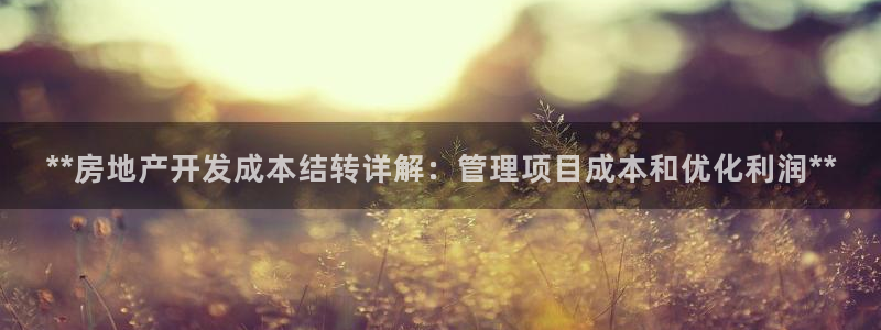 万向娱乐总代
