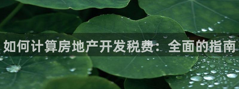 万向娱乐平台代理怎么做赚钱
