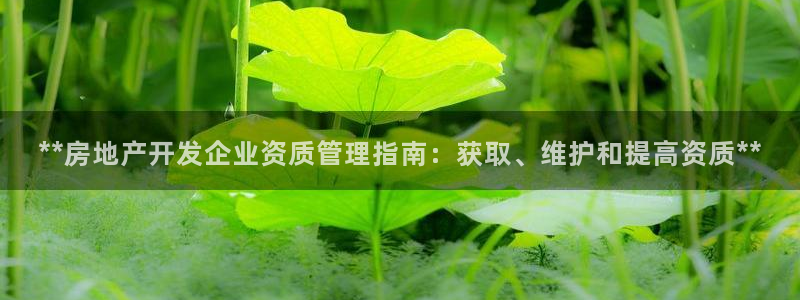 万向娱乐技术分享