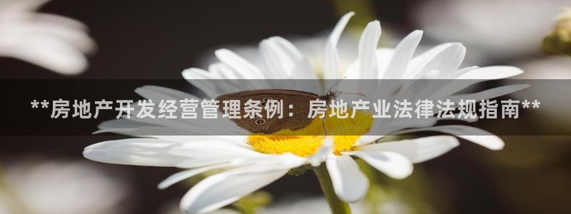 万向娱乐平台下载安装手机版