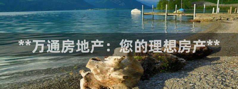 万向娱乐平台代理怎么样啊