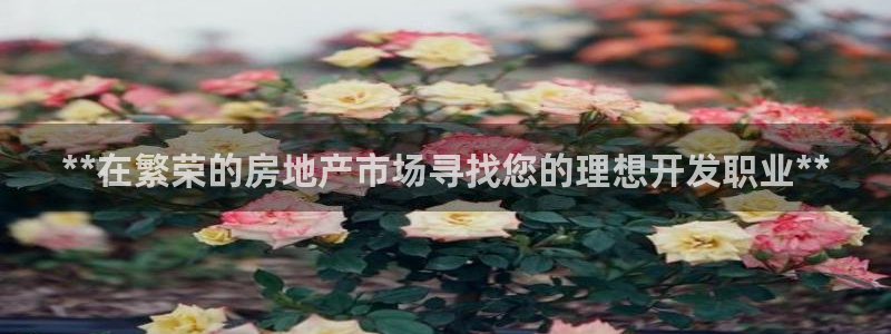 万向娱乐平台代理怎么做赚钱