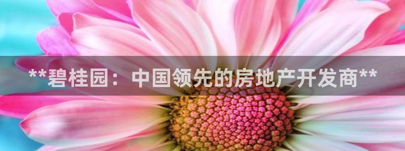 万向娱乐的联系方式是什么