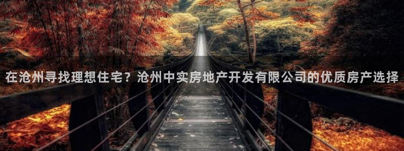万向娱乐灯333OO