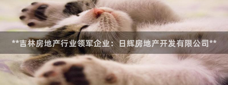 万向娱乐平台下载安装手机版