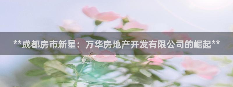 万向娱乐平台代理多少钱一个月