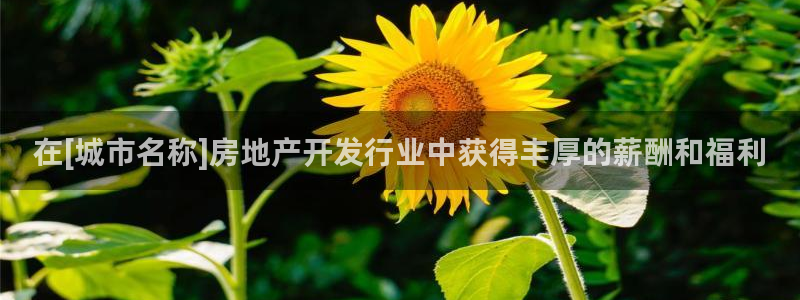 万向娱乐平台代理多少钱一个月