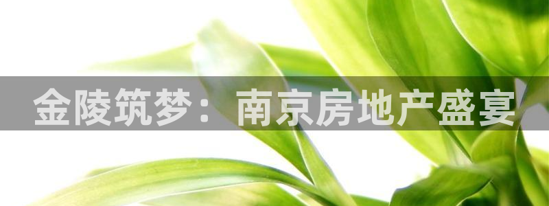 万向娱乐的联系方式是什么