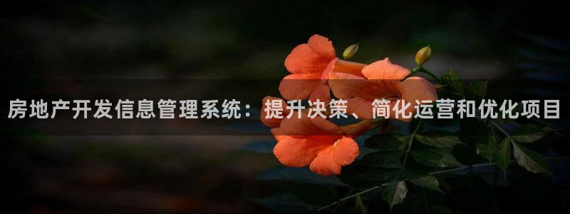 万象游戏代理