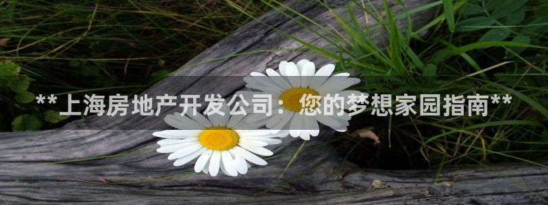 万向娱乐平台代理