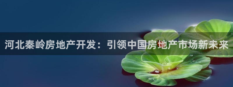 万向娱乐公司官网