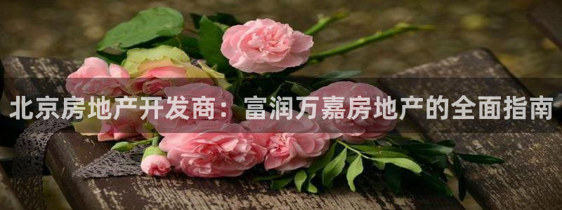 万向娱乐老板