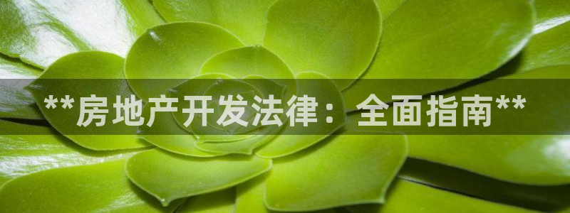 万向娱乐官网网址是什么