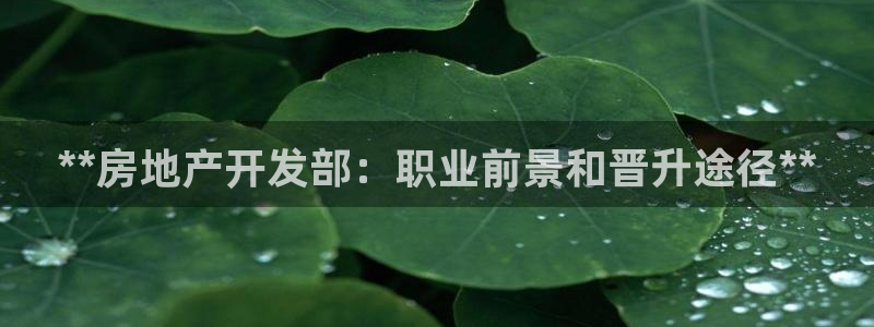 万向娱乐的联系方式是什么