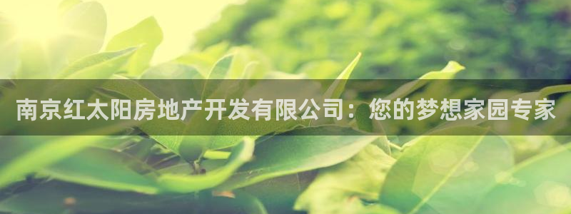 万向娱乐平台代理多少钱一年
