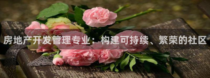 万向娱乐平台代理