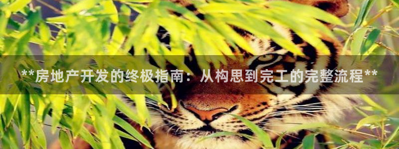 万向娱乐平台代理怎么样可靠吗