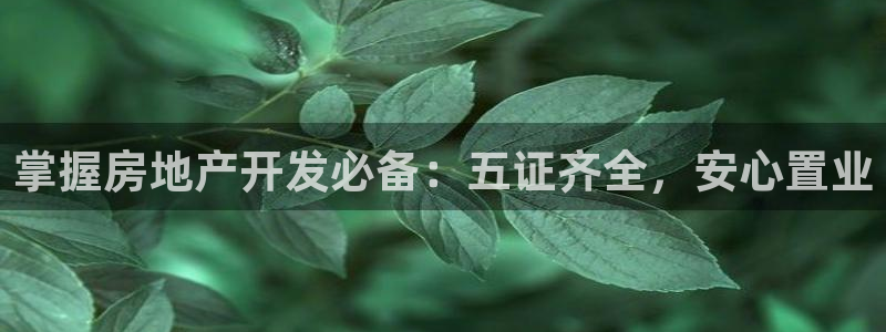万向娱乐的494o3 主管