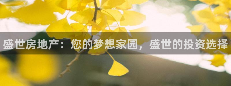 万向娱乐挂机