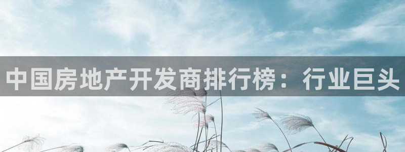 万向娱乐平台代理多少钱