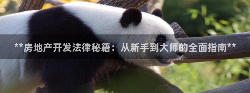 万向娱乐平台代理怎么做的