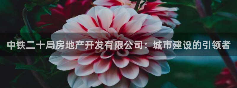 万向娱乐下载安装