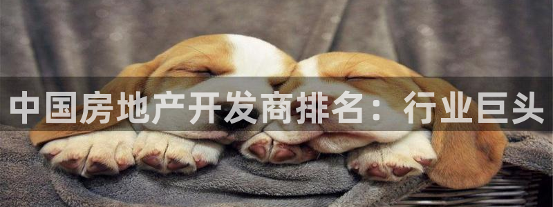 万向娱乐总代