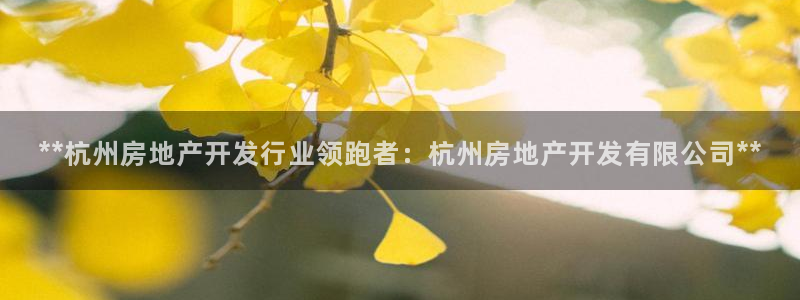 万象游戏代理