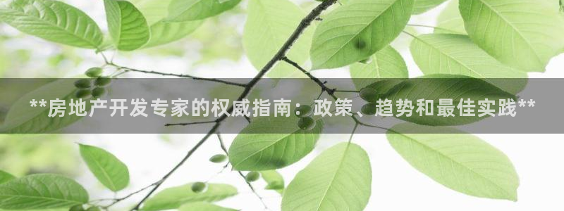 万向娱乐是野鸡台吗
