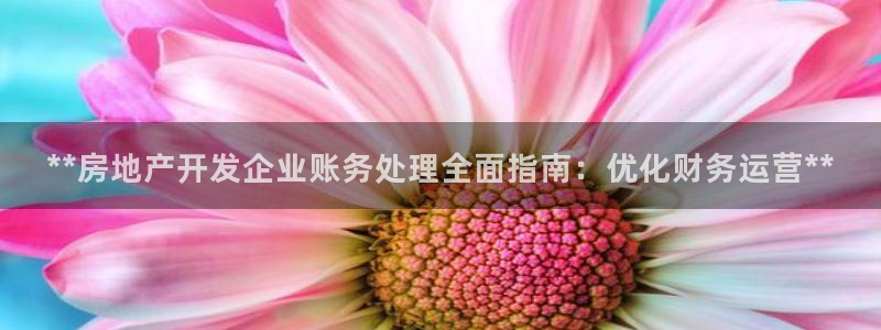 万向娱乐平台代理怎么做的