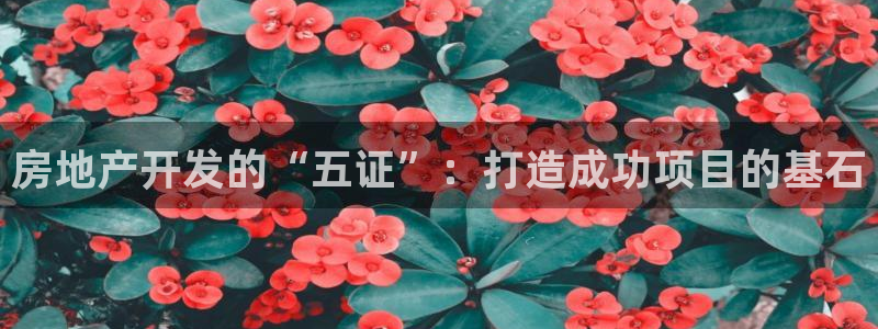 万向娱乐登陆官网下载