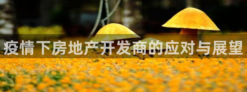 万向娱乐平台代理怎么做