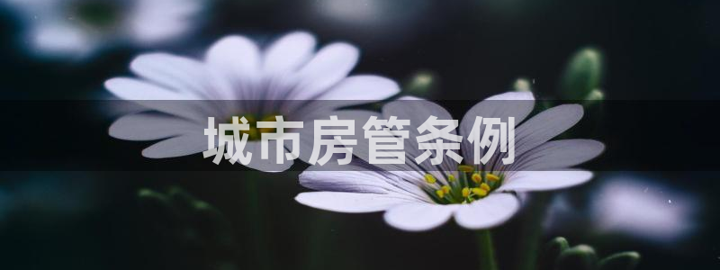 万向娱乐官网下载安装手机版